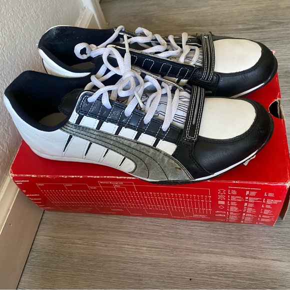 Puma Feline - Picture 3 of 4